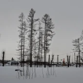 e020312f56e93ba8d598c6085b95d79b