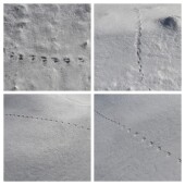 a7cce1b708b7593e7dac280c3b24e157