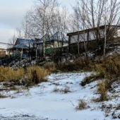 ae12661af9439572bce08837a31b5147