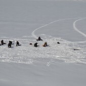 b028a684708fd22a391949cfe45fcd4f