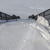 bcb008c0f65c5f7e6e95e25c76566255