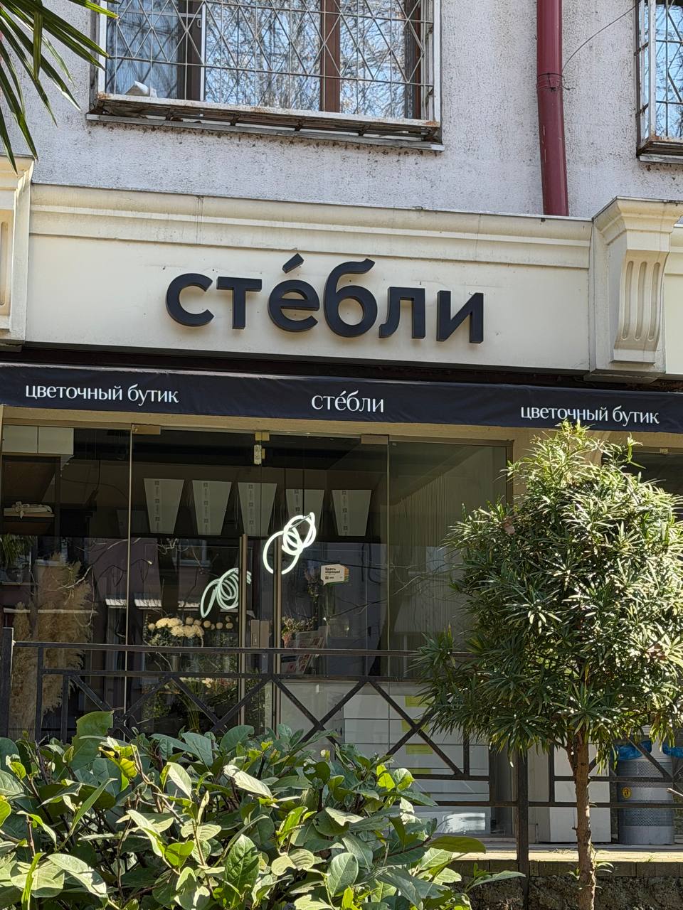 СТЕБЛИ цветы