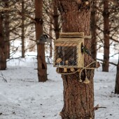 198daeecea175fb01d9f5f9279fe8259