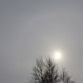 50eabc0b969df6e24b2e8cace00d60f3