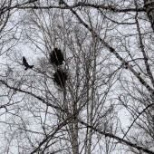 555c4884a6ce6c65f7bbfe43075ab549