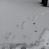 63391dcac7810564bffbf947bf53cab7