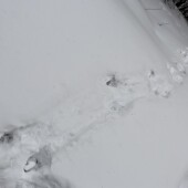 a091ad41db727a5a212eedca5cfc7595