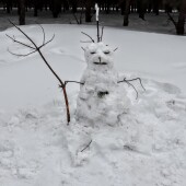 d719cb4bb265fc41bfd1335b73160183