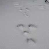 d94b09e10c8f381d71e3cc0c51768632