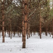 f07c4fdca4fda5969b97eb35bcd7840c