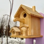 3ee5c7a09e6a04e0e7ccadddb1415d2e