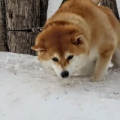 7958d4b27694d95f8e8de87e14046f10