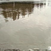 8407036a2292ce3744af8f73ce70d009