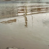 8fc3dfae75009c187369edb1fcfd03c6