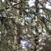 088ddc29c58e75394a6670e59598bb4a