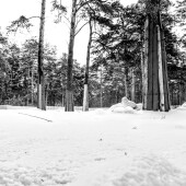 108a77e4de9aae327c3800f2be72949c