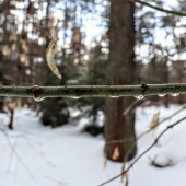 1c249928335972694bc6f59eb3365b3f