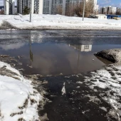 20cf035949e42e377d7fc58b87f71b1e