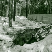 37a54af802cd05408b054cd3d050102a