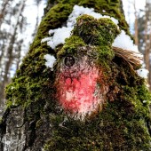 38ec02f640766441deca64629d091404