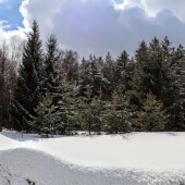 3eb0e15bd6cf8d1164acf79cd2caa324