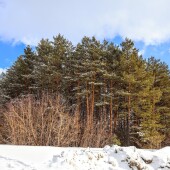 45d4ea946b49113db2659b6b532b49d7