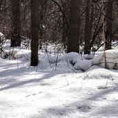 4958966d17a1e64149dbc8efb6edb9b5