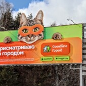 5c536549c4265923a59d90abde44d440