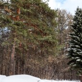 6f5f2af028ea8e9d0d9a90ec827e9cf7