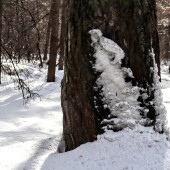 7b0fa368c9d1533640a720a9a6080e9e