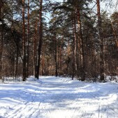 8f54bc07cef8ad4acc3c03c935e23062