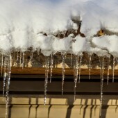 a384b9bb2cdb41eaf7ee99f6ca6da933