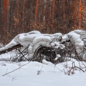 b912abdeb5f6f3c5206bb591d80261ea