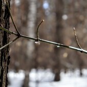 cf5eda743fb37241ed19c9a17f92a67a