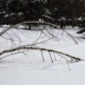 d0f65f439c31f5d845f6b6cda9a24d02