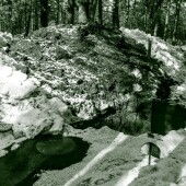 d55216964671bc9b6a30e27a4dcdec84