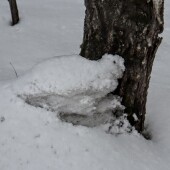 d966ac661741bf12d35cdb4a2f09219a