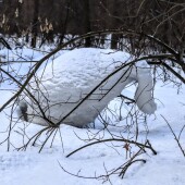 e1b9a515821ab6e8c4a1ba7ece5bec67