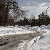 e2991f54088471139a24e1f39cd3116a