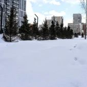 fd56f851ba6c3423f750b3c12f2b781b