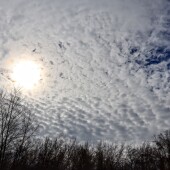 0ba2b2beb019c0fc3d28fa1c8fd61336