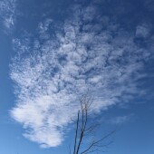 2209d1cbafd439a59235940ac7c1948f