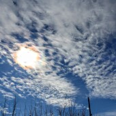 33abb35f61f5847258d4a7a9f1b9cb76