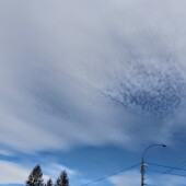 461c24f1e2a8a7de81ba876b7336efa6