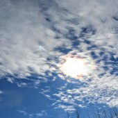 6d8ac37477a9e593d852fe2a9748aaaf