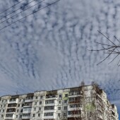 71535b846febf796f0e42ce3c3b75145