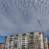 c10bbd23050bd47462da7876773c958b