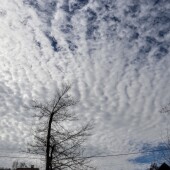 f4228f47b8a5be69be0c79b01774d9e0