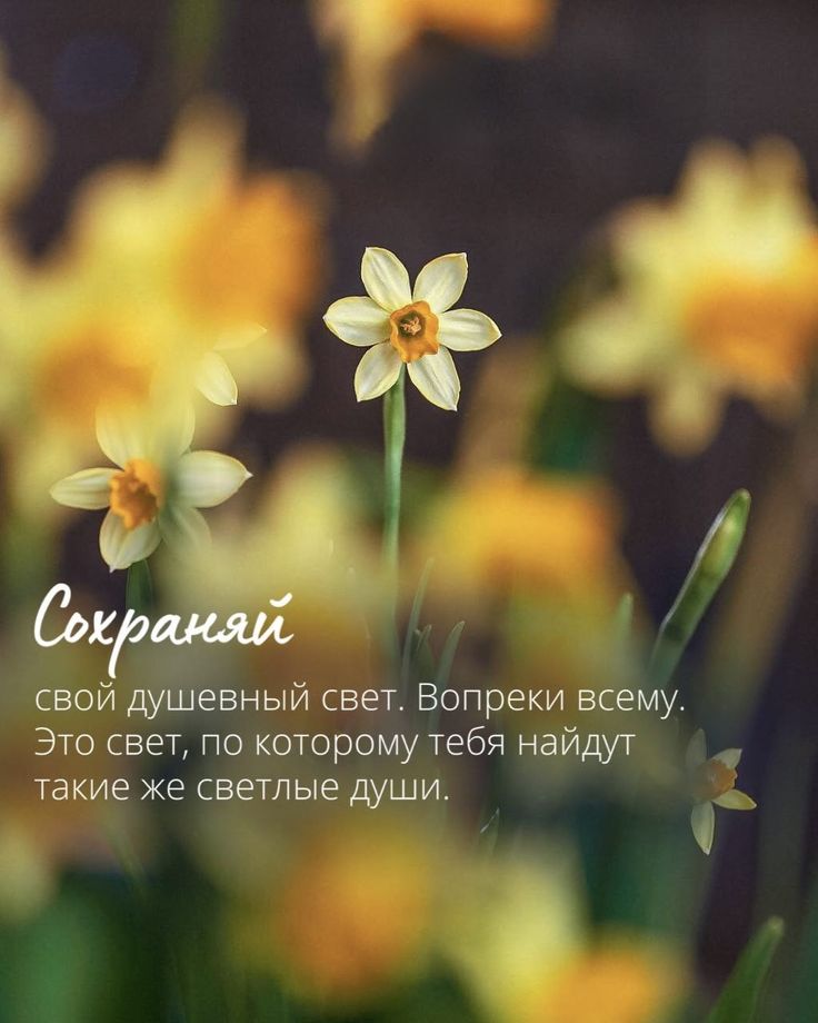 5ac6a394b8987d089785ed8abe136117