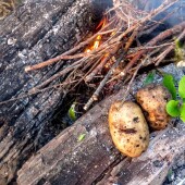 6f2ab6ce6bf583beeabd2a8635e042ff